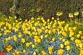 23 04_Regents Park_2856